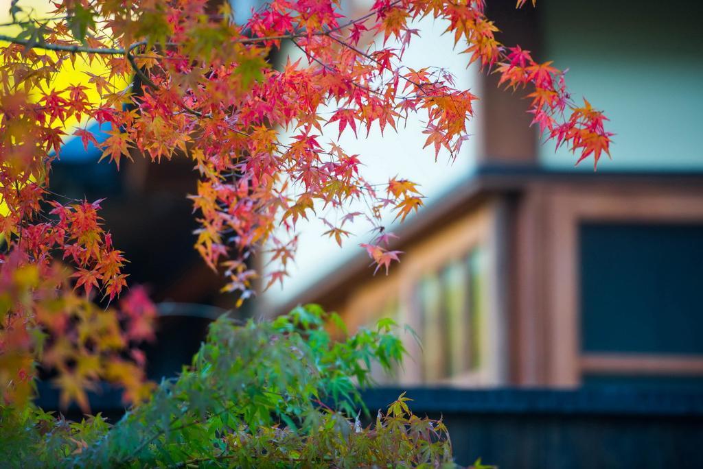 Miyama Sansou Hotel Minamioguni Exterior photo